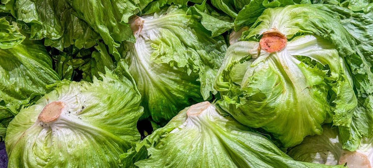 The cyclospora outbreak lawsuits have begun
