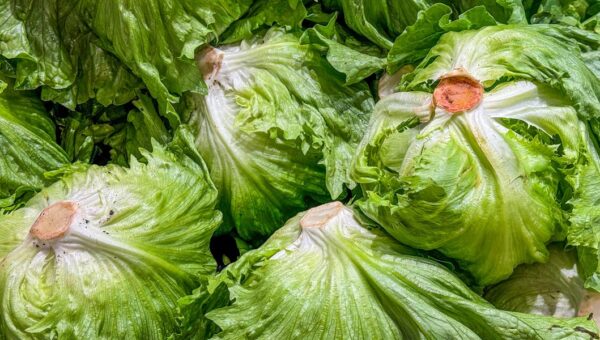 The cyclospora outbreak lawsuits have begun