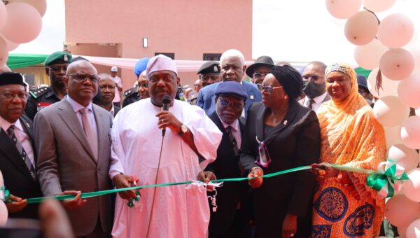 Strong institutions are bedrock of democracy – Tinubu hails Wike on body of benchers annex