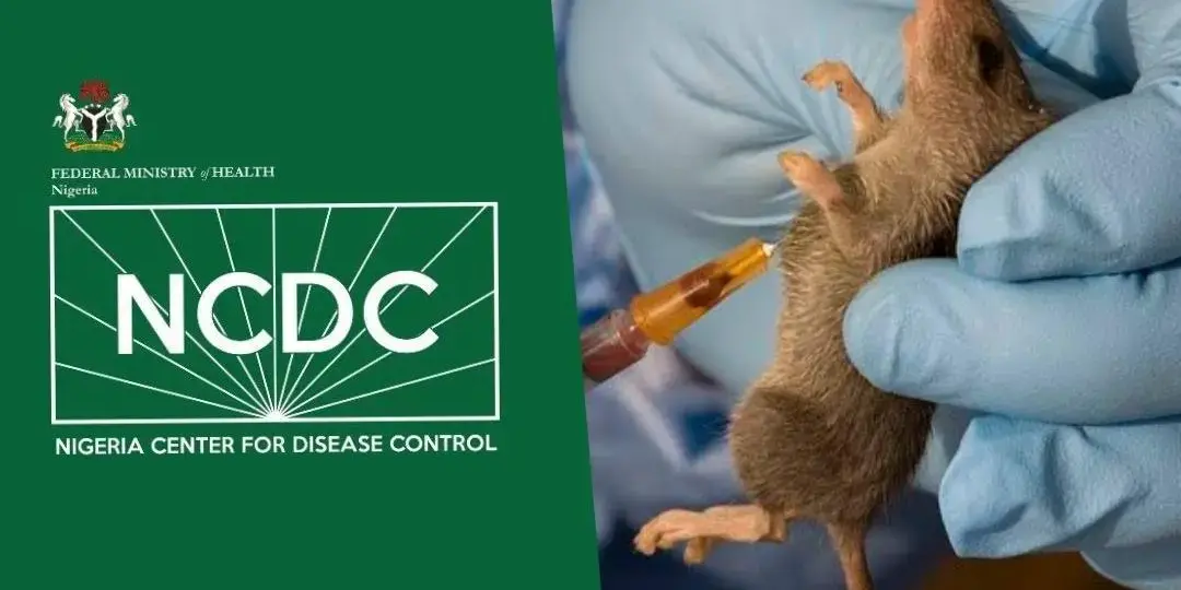 66 Lassa cases, seven deaths in three weeks – NCDC