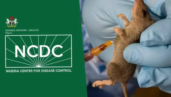 66 Lassa cases, seven deaths in three weeks – NCDC