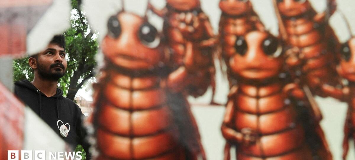 Indian police cracked down on 'cockroach' protesters. They went home and made memes about it