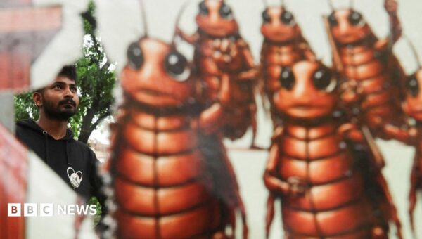 Indian police cracked down on ‘cockroach’ protesters. They went home and made memes about it