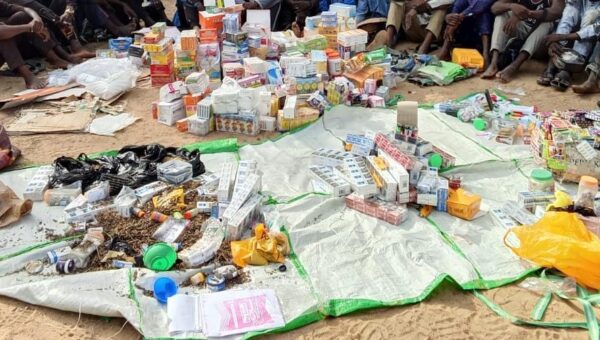 Police arrest 14 suspected drug dealers, recover illicit substances in Yobe