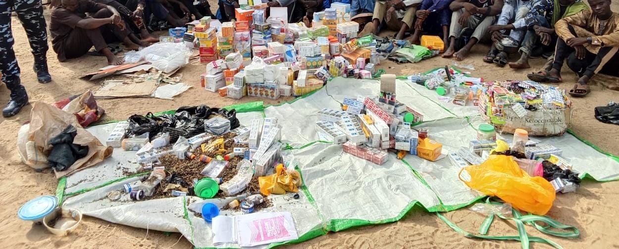 Police arrest 14 suspected drug dealers, recover illicit substances in Yobe