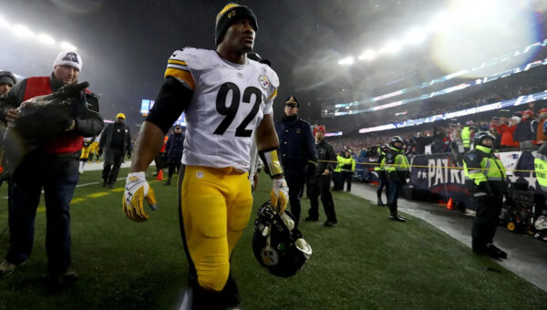 James Harrison believes Patriots stole Super Bowl from Steelers