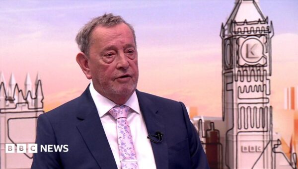 Police leadership needs 'ethical reset', Lord Blunkett tells BBC