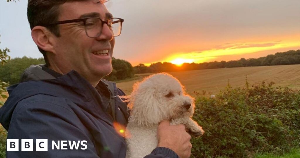 My dog Axel 'wouldn't get on' with Larry the cat, says Burnham