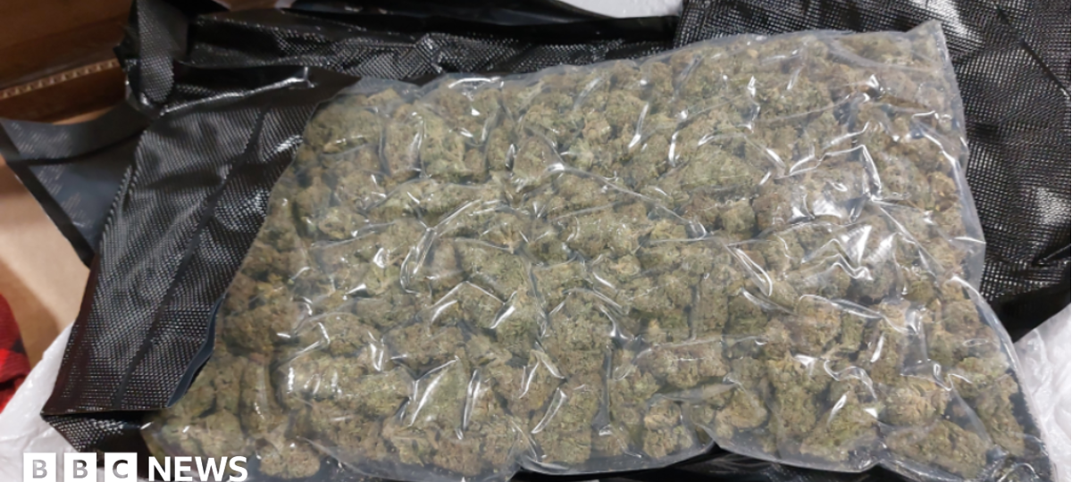 Drug mules carrying cannabis from Thailand face tougher penalties