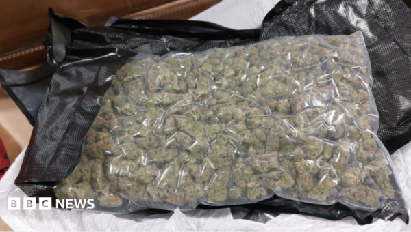 Drug mules carrying cannabis from Thailand face tougher penalties