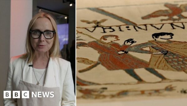Watch: First glimpse of Bayeux Tapestry in UK for almost 1,000 years