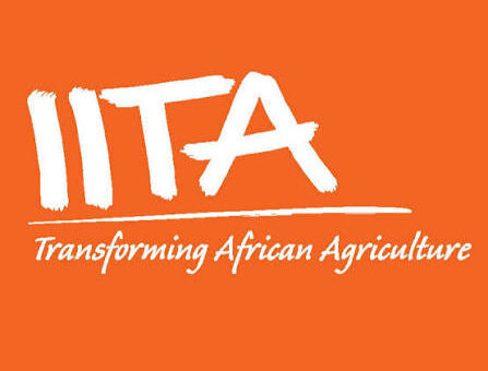IITA Graduate Internship Programme 2026 for Nigerians | How to Apply