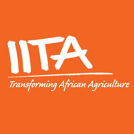 IITA Graduate Internship Programme 2026 for Nigerians | How to Apply