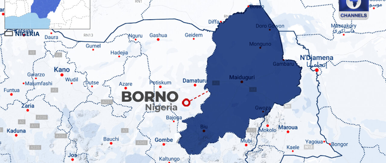 Suspected ISWAP Terrorists, Families Surrender As Military Rescues Abductees In North East