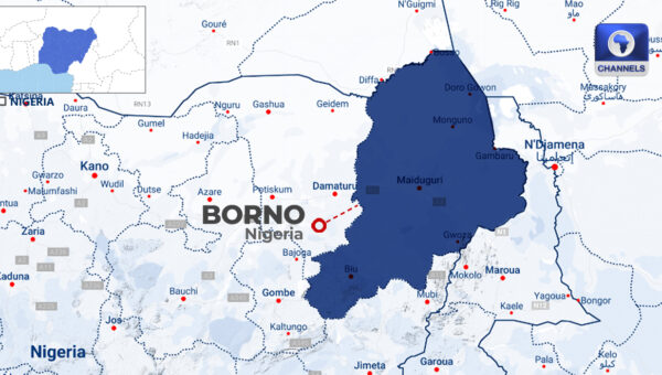 Suspected ISWAP Terrorists, Families Surrender As Military Rescues Abductees In North East