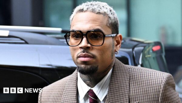 Chris Brown ordered to pay housekeeper $13m after dog attack