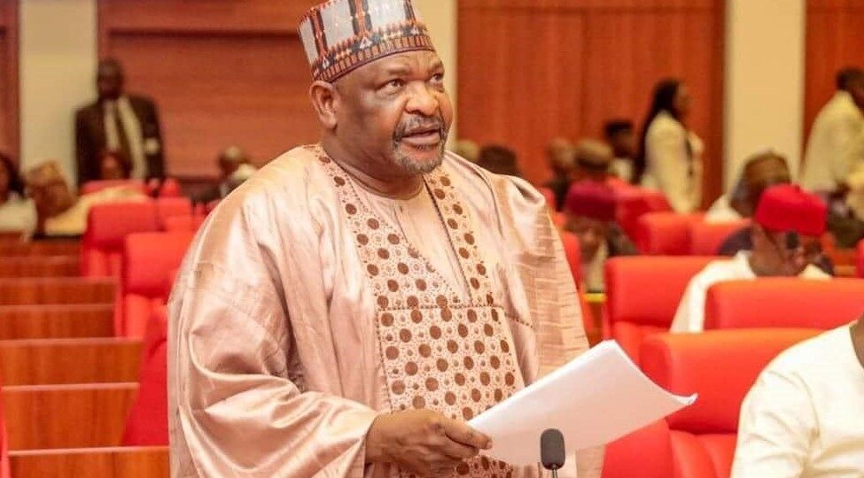 Xenophobia: End diplomatic relations with South Africa now – Sen Ningi tells Nigerian Govt