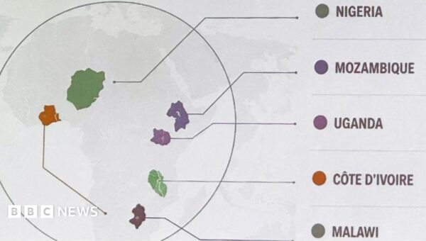 US admits ‘unfortunate error’ after mislabelling countries on map of Africa