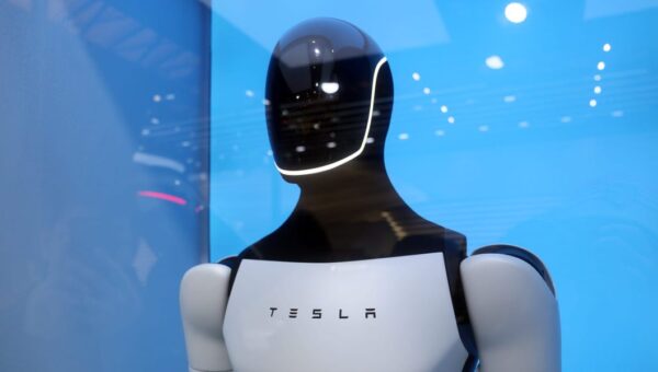 Tesla is betting its future on Optimus. Here's what we know about Elon Musk's robot.