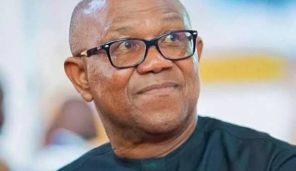 Suspension of Examination Fees Victory for Nigerians — Peter Obi