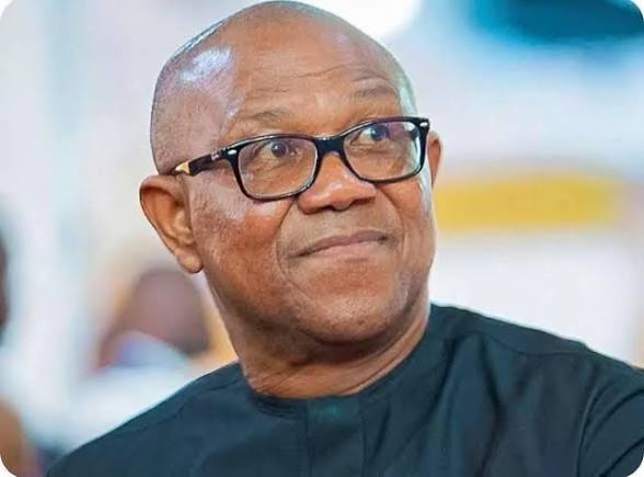 Suspension of Examination Fees Victory for Nigerians — Peter Obi