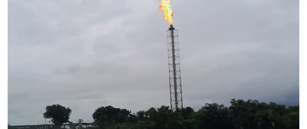 Nigeria flared 5.3 billion cubic metres of gas worth $1.5 billion in 2024 – German Ambassador