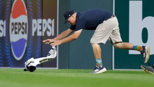 Squirrel runs on field during Tigers vs. Orioles game at Comerica Park