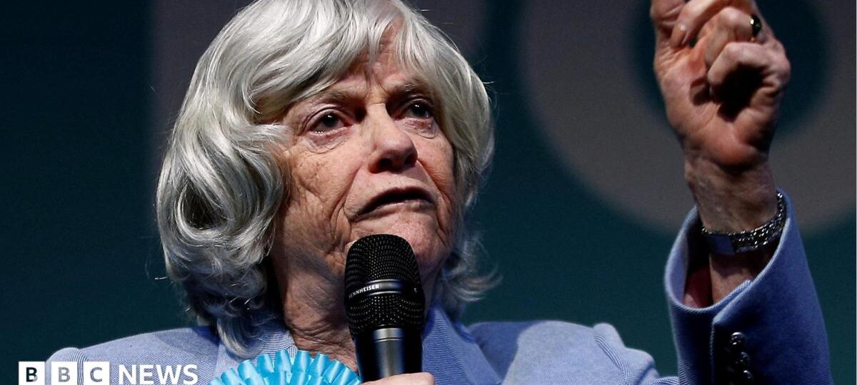 Ann Widdecombe murder probe: What we know so far