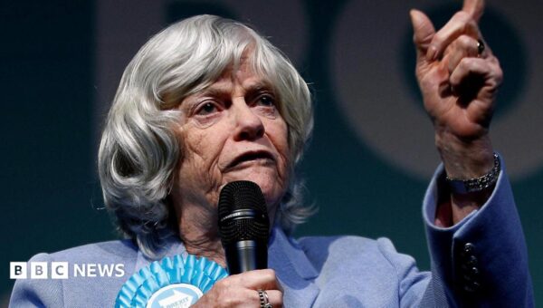 Ann Widdecombe murder probe: What we know so far