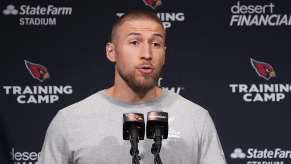 Cardinals DC Nick Rallis has the expertise but will he execute?
