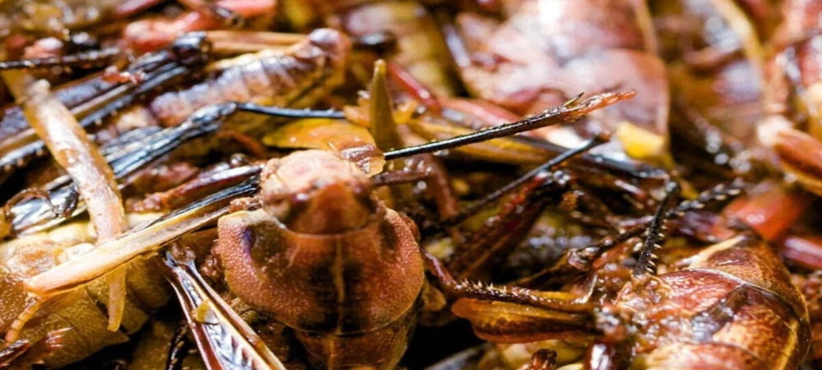 How toasted grasshoppers became Seattle baseball's most famous snack