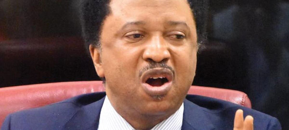Ukraine war: Don’t join Russian Army – Shehu Sani to Nigerians