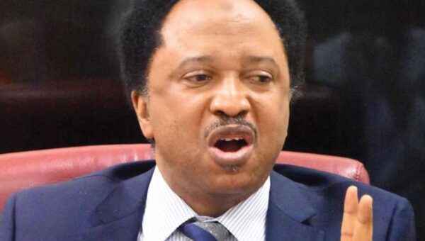 Ukraine war: Don’t join Russian Army – Shehu Sani to Nigerians