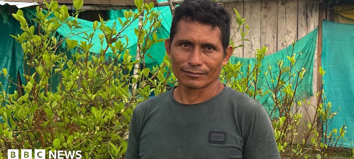 This farmer wanted to quit the cocaine industry - he couldn't