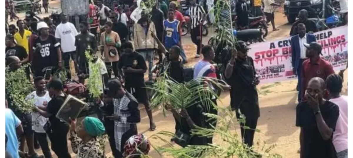 Benue killings: ‘We have been abandoned to our fate’ – Agonising residents recount latest ordeal