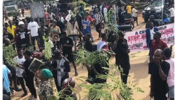 Benue killings: ‘We have been abandoned to our fate’ – Agonising residents recount latest ordeal