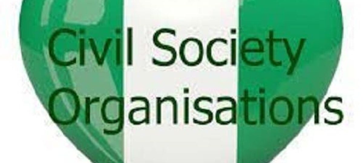 Presidential Foreign Intervention Promotion Council lack legal foundation – CSO