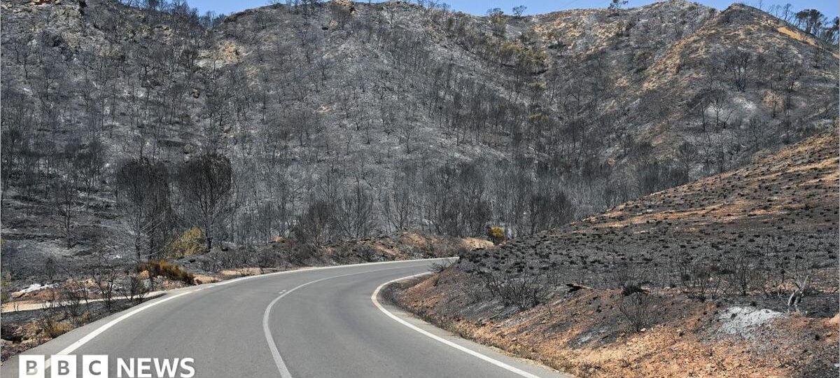 Badly burned British couple rescued from ravine during Spain wildfires, reports say