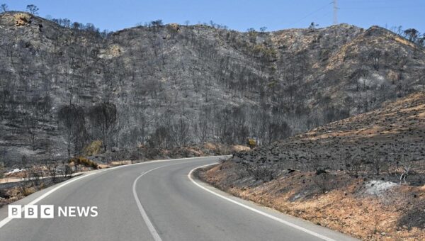 Badly burned British couple rescued from ravine during Spain wildfires, reports say