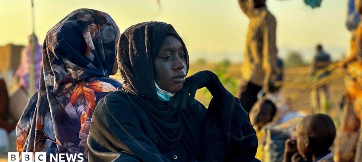 Sudan's RSF committed crimes against humanity in el-Fasher, Amnesty says