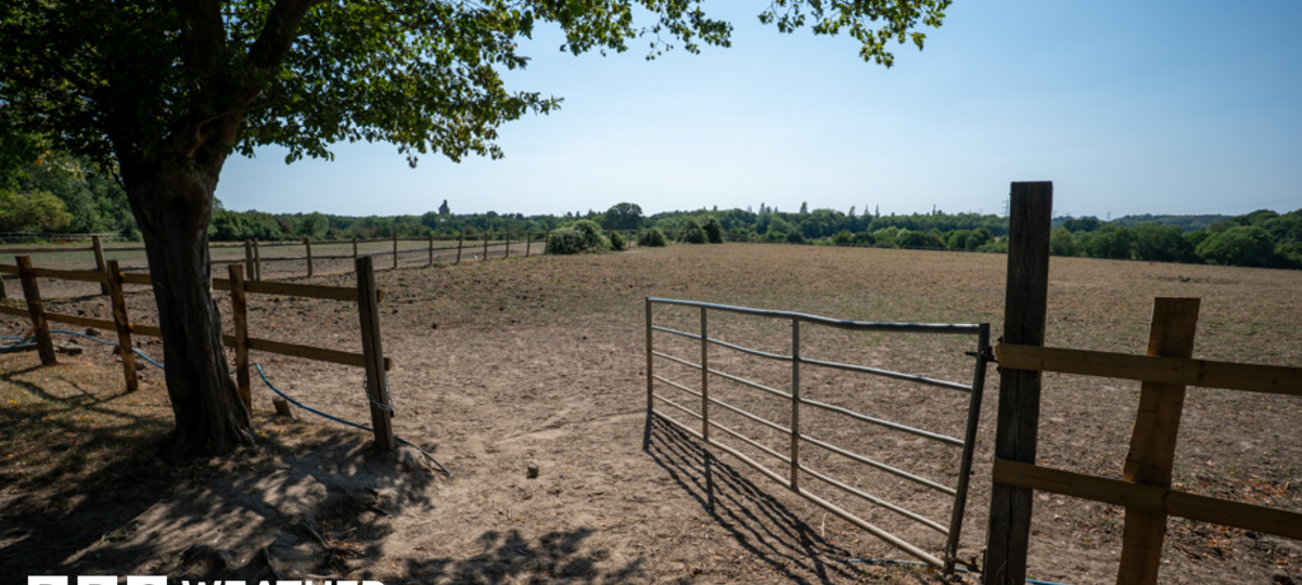 Drought conditions may worsen before improving as little rain in sight