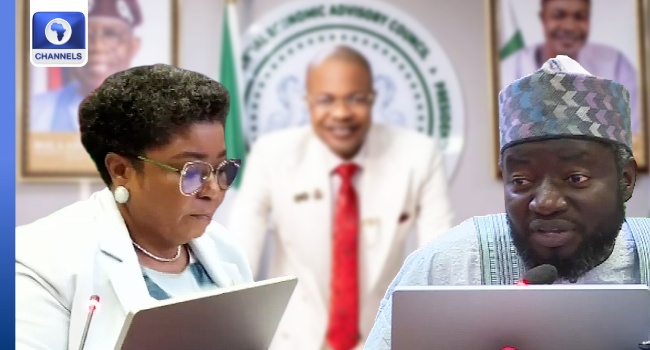 PFIPC Probe: Reps Committee Declares Disputed DG’s Appointment Letter Fake