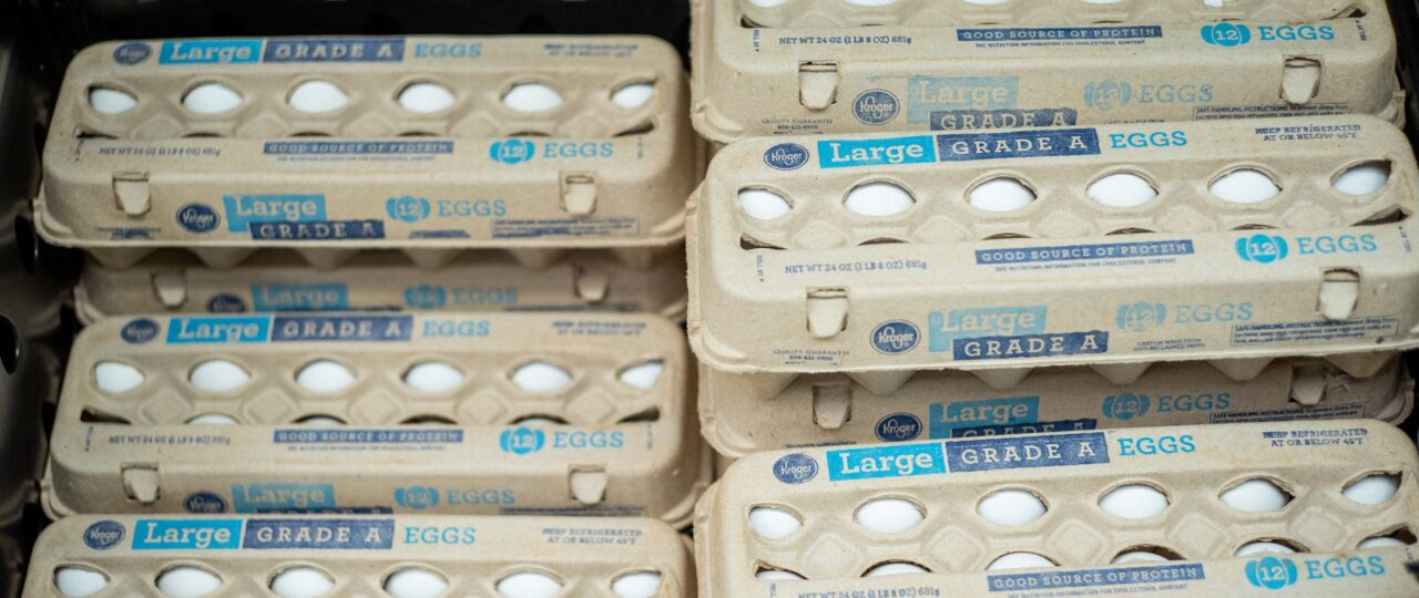Egg Recall 2026: See the Full List of Affected Brands and States