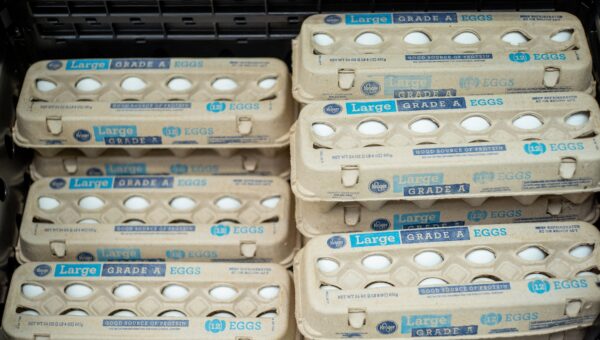 Egg Recall 2026: See the Full List of Affected Brands and States