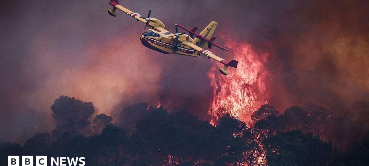Devastating European wildfires in maps - and how they're being tackled