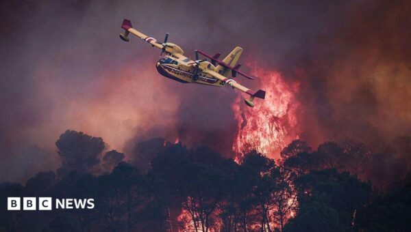 Devastating European wildfires in maps - and how they're being tackled