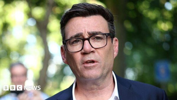 Burnham rules out calling early election as PM