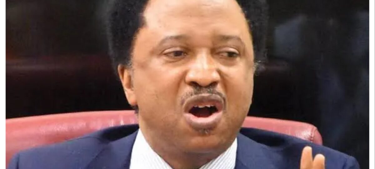 Bello Turji, Ado Aleru should be eliminated like Kachalla – Shehu Sani