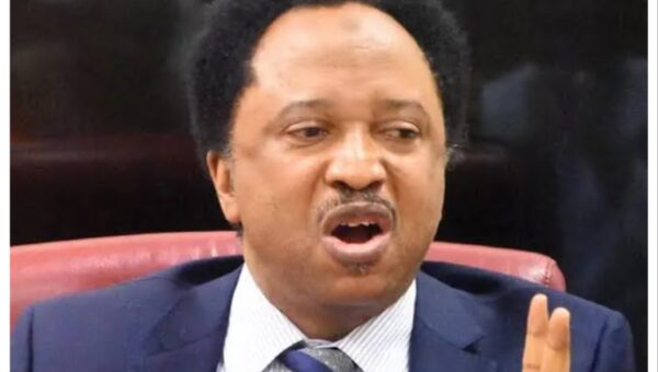 Bello Turji, Ado Aleru should be eliminated like Kachalla – Shehu Sani