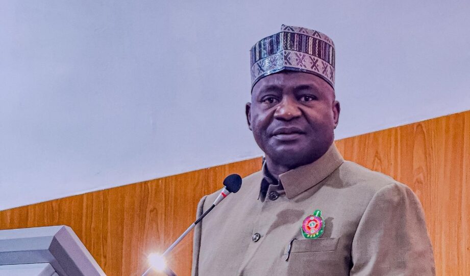 Insecurity: Shoot on sight, don’t wait for orders – Defence Minister orders soldiers